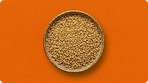 Fenugreek